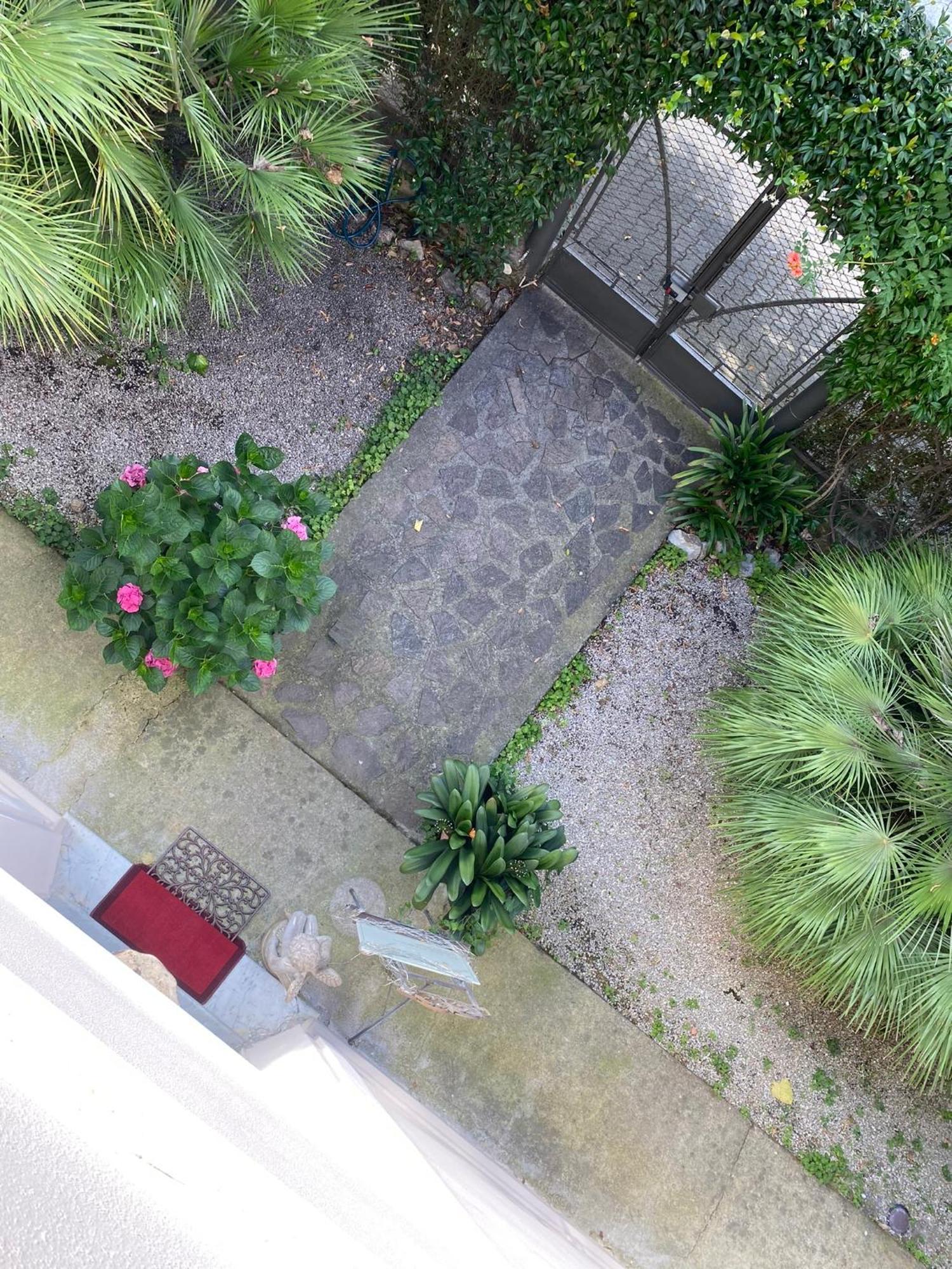 Casa Simonetti Bed & Breakfast Torre del Lago Puccini Eksteriør bilde
