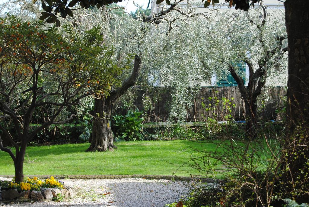Casa Simonetti Bed & Breakfast Torre del Lago Puccini Eksteriør bilde